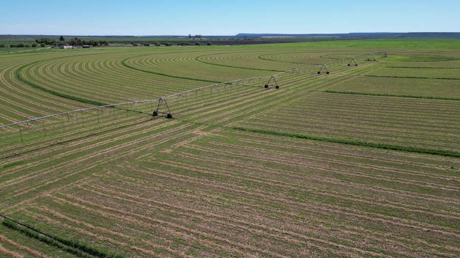 0 Bedroom Property for Sale in Douglas Rural Northern Cape